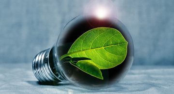 Развитие зеленой энергетики: перспективы и проблемы отрасли